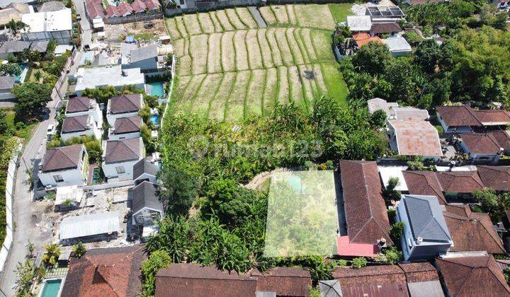Di Sewakan Tanah Kecil 350 Meter Di Tibubeneng Canggu Jh 1728 2