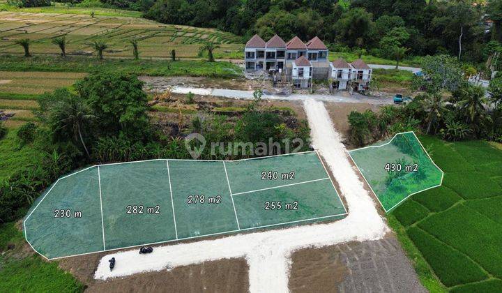 Di Jual Tanah Kecil View Sawah 240 Meter Kedungu Tabanan Mg 1590 2