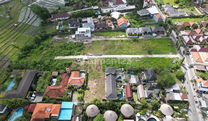 Land for sale 8 Are 1.6m Umalas Kerobokan Kc 1820 2