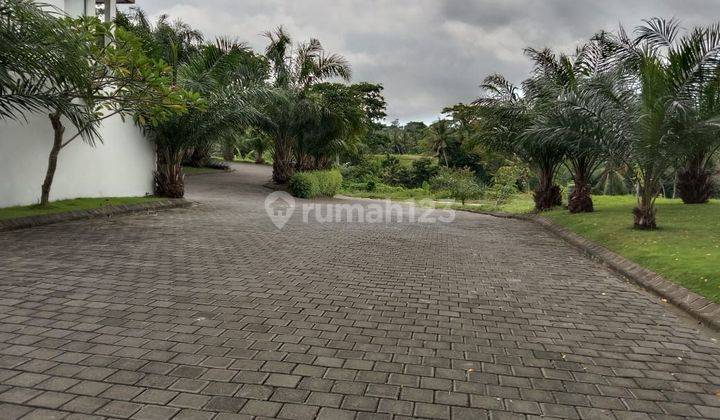 Dijual tanah murah 680juta munggu JH-1943 1