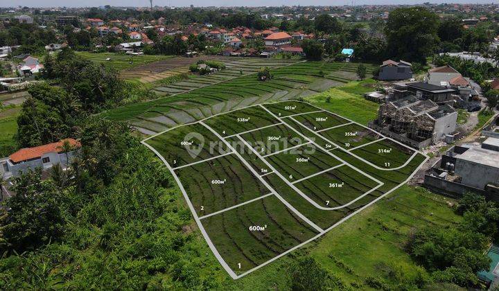 Land Leasehold Pavlingan 3,14 Are In Tumbak Bayuh Yt 1978 2