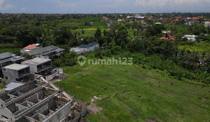 Land Leasehold Pavlingan 3,14 Are In Tumbak Bayuh Yt 1978 1