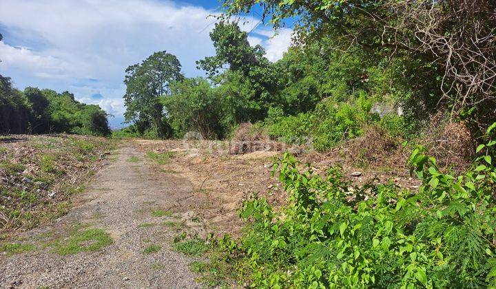 Land for sale 2 acres 650 million in Ungasan, South Kuta Dz 1986 1