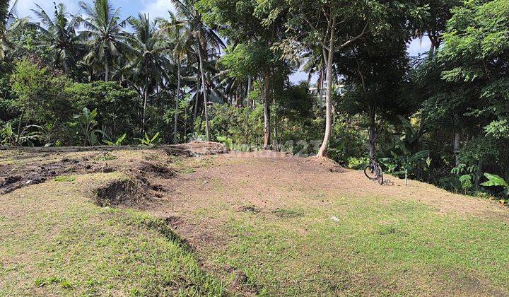 Land for sale 23.5 Are Ubud Bali Br 2056 1