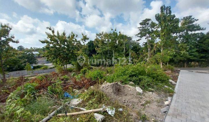 Land for sale 28.5 Are Buana Sari Pecatu Dd 2061 2