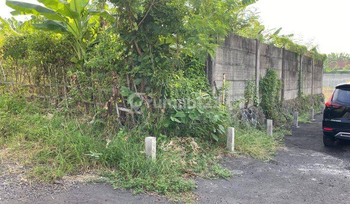 Land for sale 2,4 Are Seminyak Badung Bali Indonesia Le 2080 2