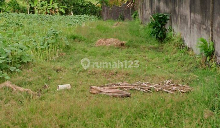 Land for rent 10 are Jln Pratu Rai Madra Sc 2124 1