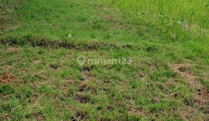 Land for rent 10 are Jln Pratu Rai Madra Sc 2124 2