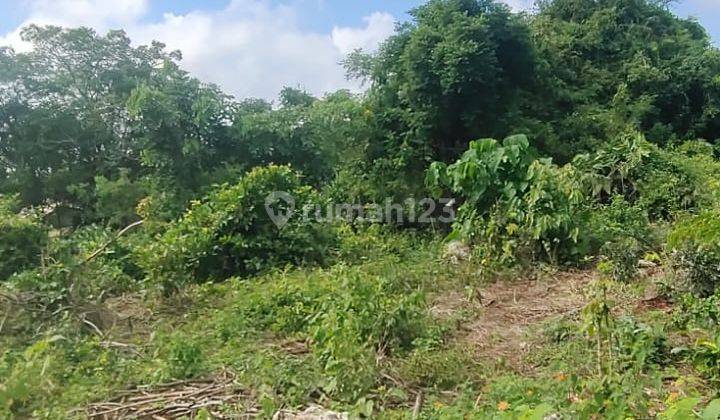 17.5 Are of Land for Sale Jalan Utama Belimbing Sari Pecatu Df 2142 1