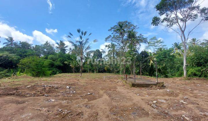 Plot of land for sale 9.55 Are Peyangan Ubud Br 2149 1