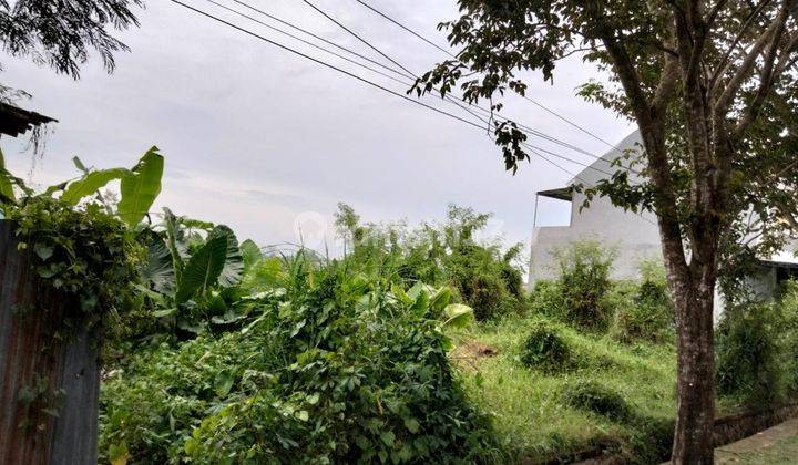 Land for Rent 5.4 Are Tumbak Bayuh Mainroad Kc 2174 1