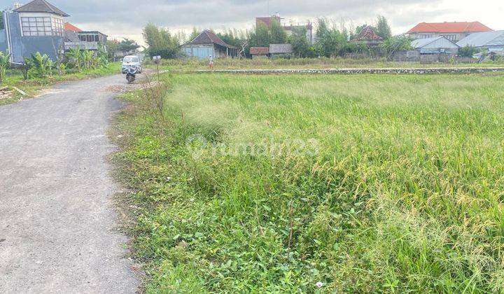 Land for Rent 45 Are Kerobokan Kedampang Kd 2185 1