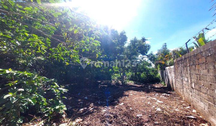 Land for rent 10 Are Balangan Beach Road Df 2223 1