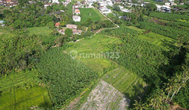 Plot of land for sale starting from 1.95 Are 3 Are Bayuh Bayuh Pu 2272 1