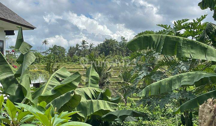 Land For Sale Small Size 5.91 Are Ubud, Gianyar Bali IJ-2 2