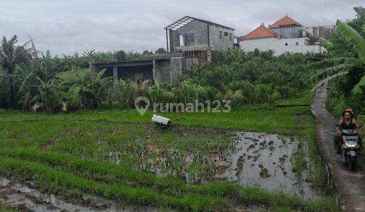 Dijual Tanah Super Langka 4 Are Tumbak Bayuh Jh 2719 2