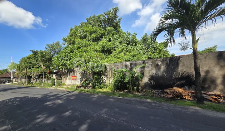 For Sale Tanah 4,35 Are Jln Utama Kayu Tulang,Canggu EK-2977