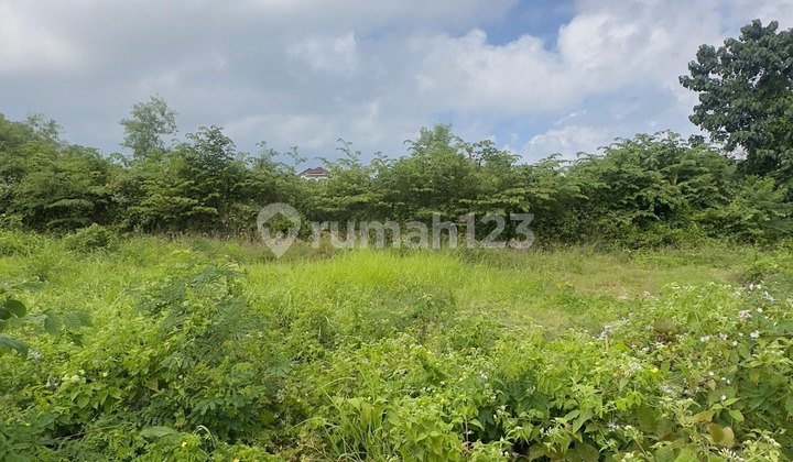 Dijual Tanah 3,7 Are dan 3 Are di Kutuh Bali JH-3368
