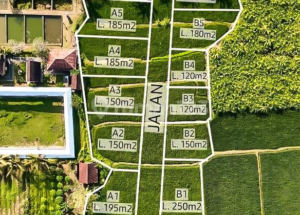 For Sale 1.2 Are Plot of Land on Main Street Ir. Sutami, Gianyar Ny 2680 For Sale 1.2 Are Plot of Land on Main Street Ir. Sutami, Gianyar Ny 2680