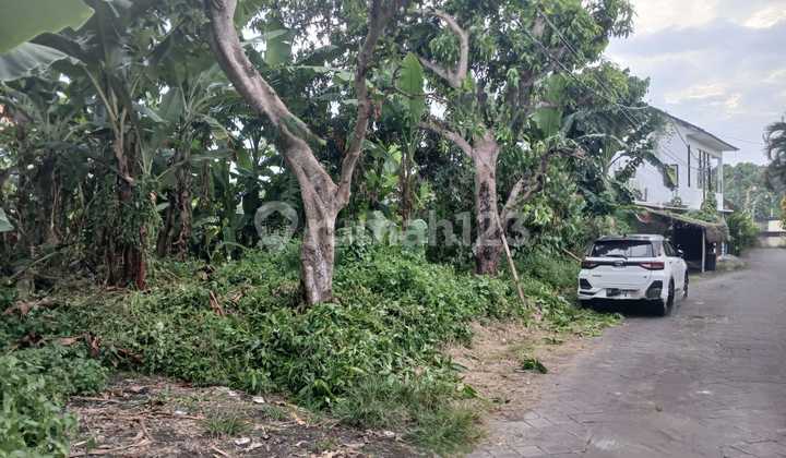 For Sale Land 3,4 Are In Tumbak Bayuh,Pererenan Bali TM-3185 For Sale Land 3,4 Are In Tumbak Bayuh,Pererenan Bali TM-3185