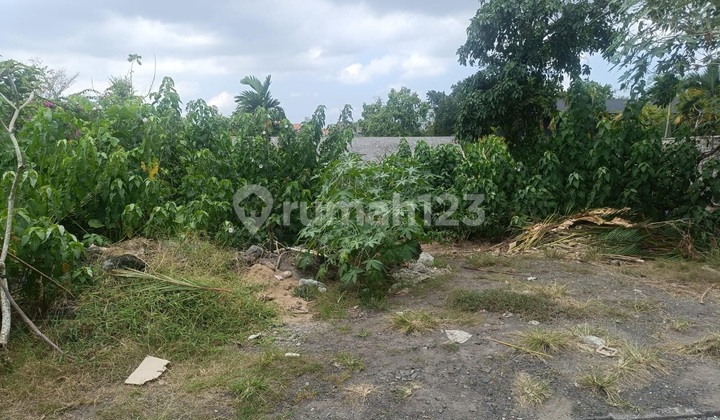 Land For Sale 6 Are In Pererenan, Badung Bali Pu-4127