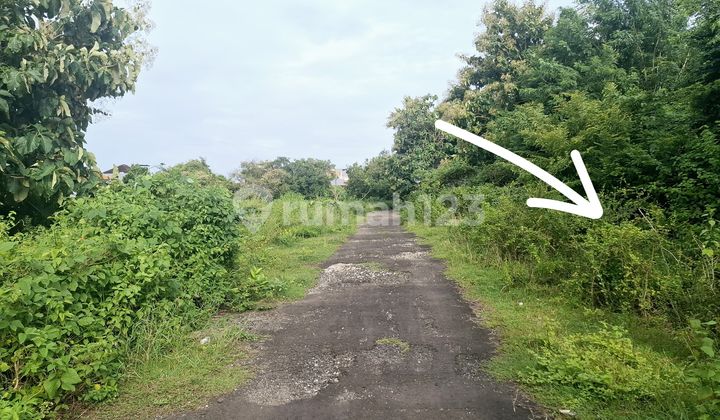 Dijual Tanah 15,74 Are Jimbaran,Taman Griya Bali IJ-2948