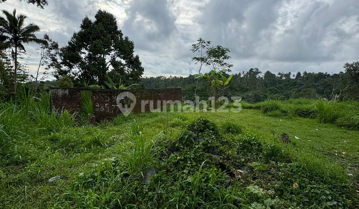 Land For Sale 25,24 Are In Utara Ubud Bali Jk-3898