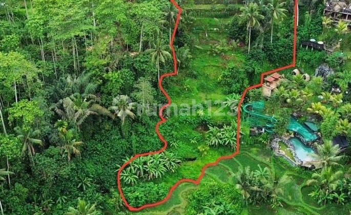 Land For Sale 34 Are In Utara Ubud,Gianyar Bali Jk-3901 Land For Sale 34 Are In Utara Ubud,Gianyar Bali Jk-3901