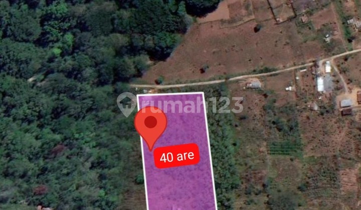 For Sale Land 40 Are View Beach Munduk,Buleleng ST-3142 1