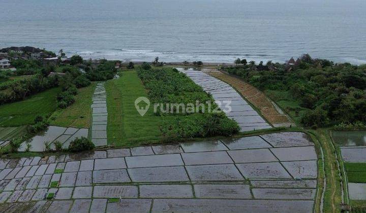 Dijual Tanah 33 Are Di Pantai Yeh Gangga Tabanan Sh 2431 2