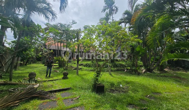 Land Leasehold 25 Year 28 Are In Batu Bolong Bali Ek-3974