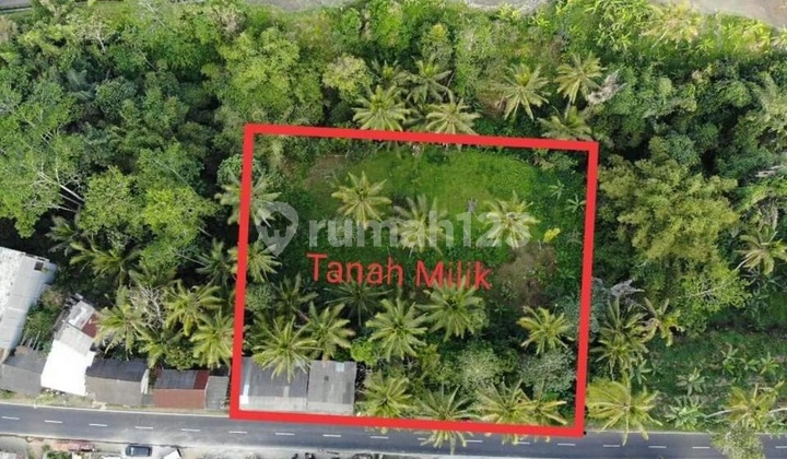 Land For Sale 31,5 Are In Tegallalang,Ubud Bali Jk-3902