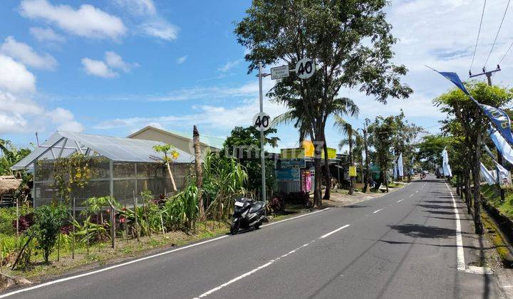 Dijual Tanah 9 Are Jalan Utama Kebo Iwa,denpasar Utara Sh 2421 1