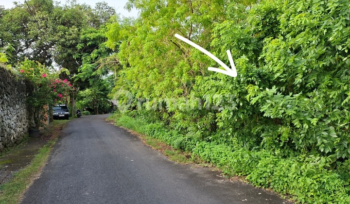 Land For Rent 3.96 Are On Jl Temu Dewi, Pecatu Ij-4106 Land For Rent 3.96 Are On Jl Temu Dewi, Pecatu Ij-4106