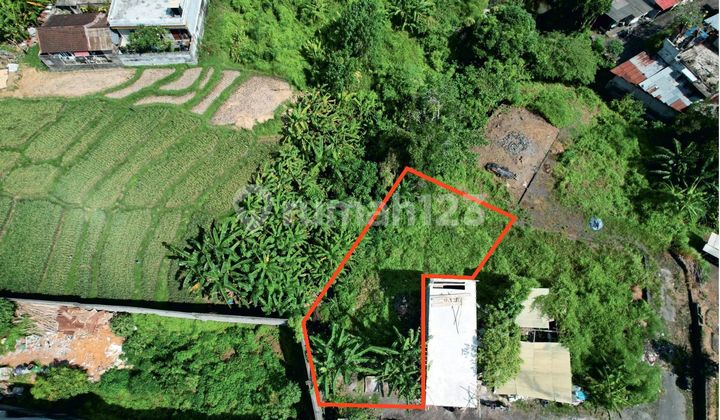 For Sale Land 2,5 Are View Ricefield In Buduk,Mengwi KC-3130