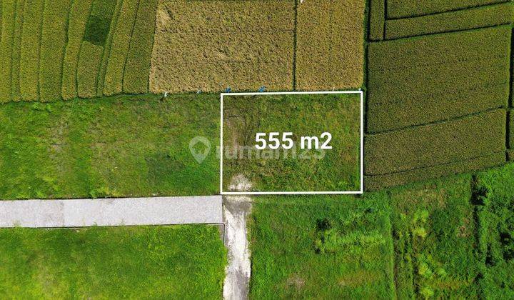 Dijual Tanah View Ricefield 5,55 Are Kedungu,Tabanan EK-2909