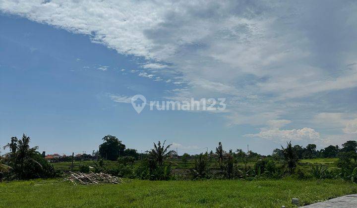 Dijual Tanah View Ricefield 5,55 Are Kedungu,Tabanan EK-2909