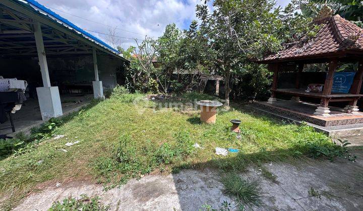 Land for rent 2.5 Are Babakan, Canggu Badung St 2540 1