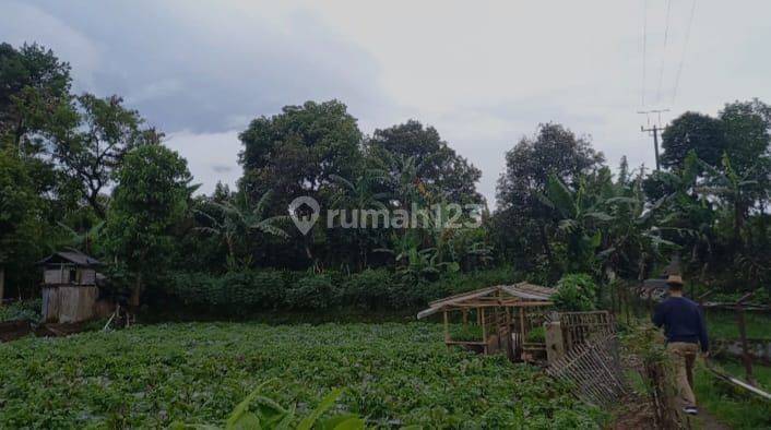 Dijual Cepat Tanah Bentuk Ngantong di Cikole, Lembang 2