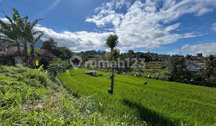 Dijual Cepat Tanah Lokasi Mainroad Cocok Untuk Cluster Dll