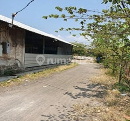 Dijual Cepat Dibawah NJOP Tanah di Soekarno Hatta