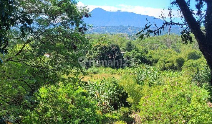 Rumah Depan Hutan Pinus Dan Gunung Baru Selesai Renovasitaman Casablanca Sentul City Bogor 2