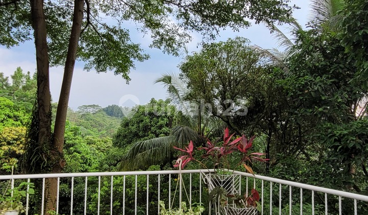 Rumah Bagus Dengan MIni Forest Bukit Golf Hijau Sentul City Bogor