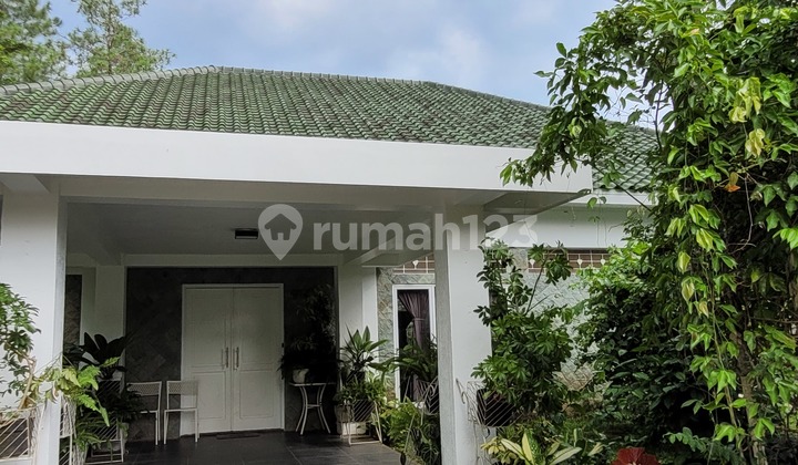 Rumah Halaman Luas Bagus Unfurnished Ada Mini Forest SHM Bukit Golf Hijau Sentul City Bogor