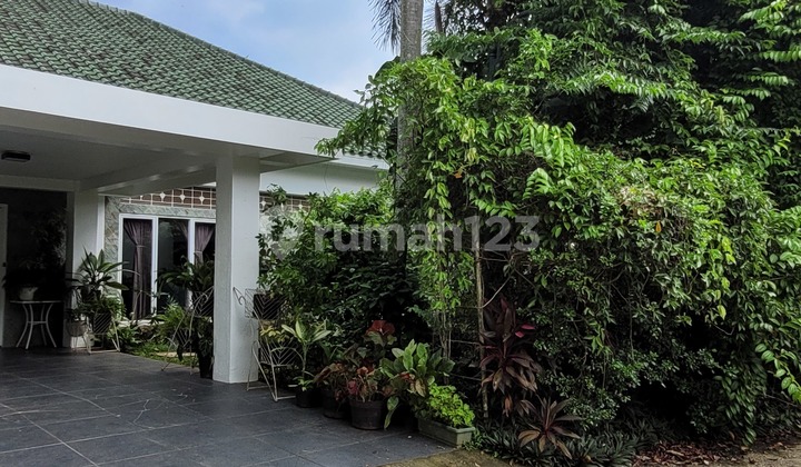 Rumah Halaman Luas Bagus Ada Mini Forest SHM Bukit Golf Hijau Sentul City Bogor