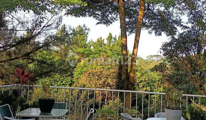 Rumah Halaman Luas Bagus Ada Mini Forest SHM Bukit Golf Hijau Sentul City Bogor 2