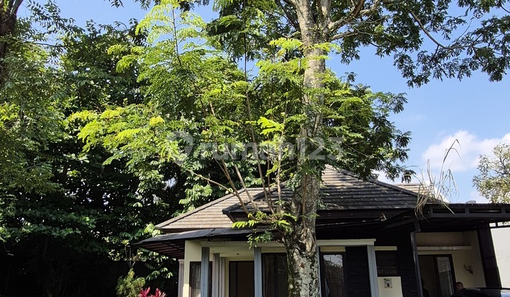 Hook, Halaman Luas, Samping Taman, Rumah Di Klaster The Breeze Sentul City Bogor Hook, Halaman Luas, Samping Taman, Rumah Di Klaster The Breeze Sentul City Bogor