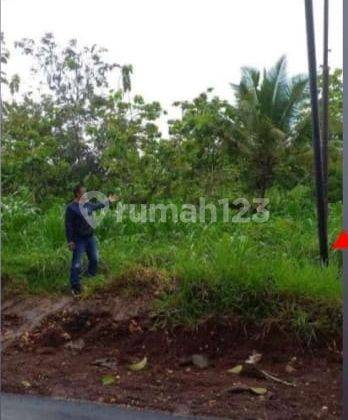  Kavling Untuk Industri Murah di Pracimantoro Wonogiri Jawa Tengah 9