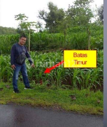  Kavling Untuk Industri Murah di Pracimantoro Wonogiri Jawa Tengah 10
