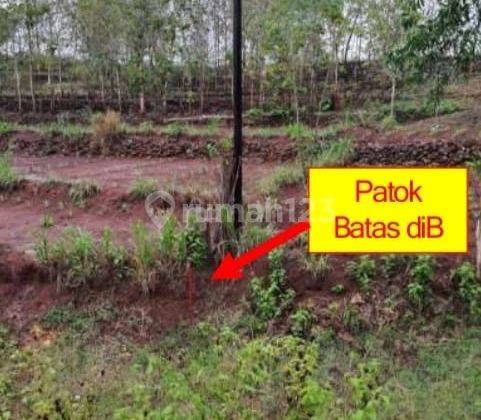  Kavling Untuk Industri Murah di Pracimantoro Wonogiri Jawa Tengah 11